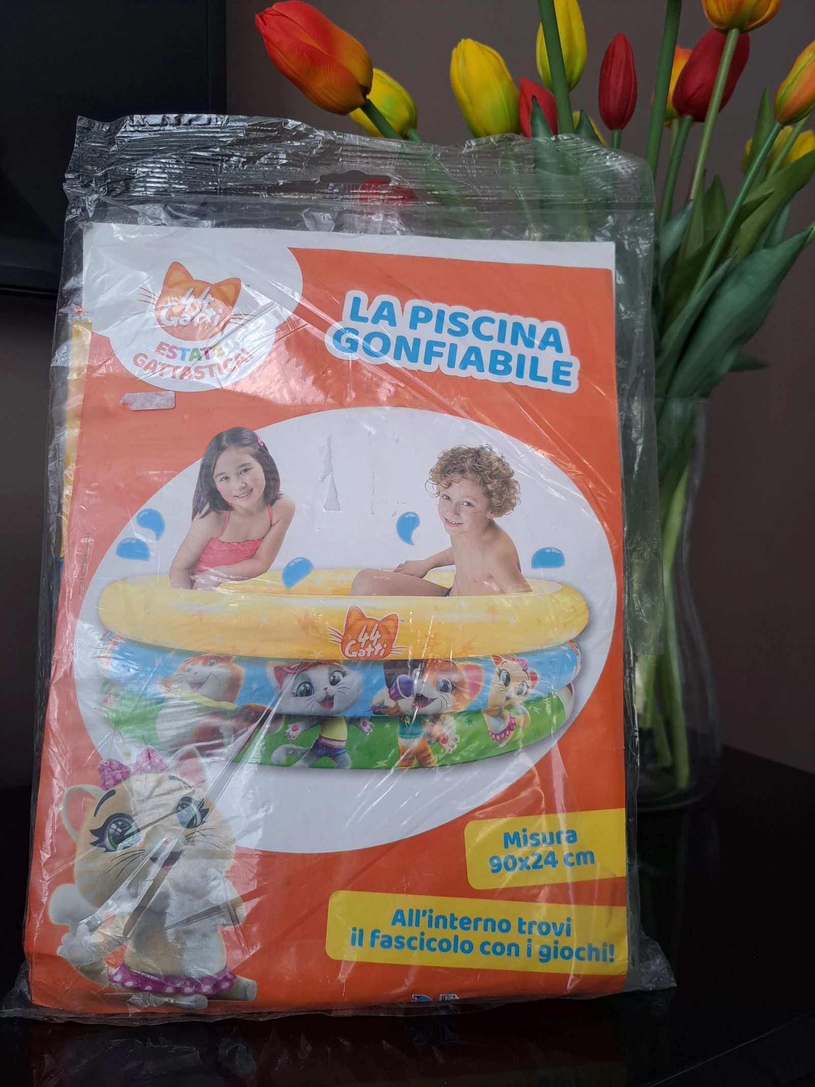 Piscine gonflable 